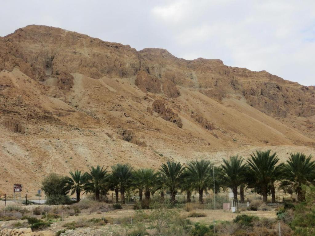 Ein Gedi Rooms Neve Zohar Exterior foto