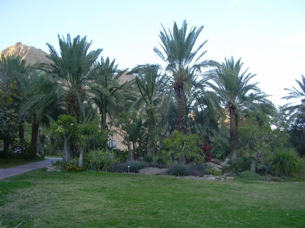 Ein Gedi Rooms Neve Zohar Exterior foto