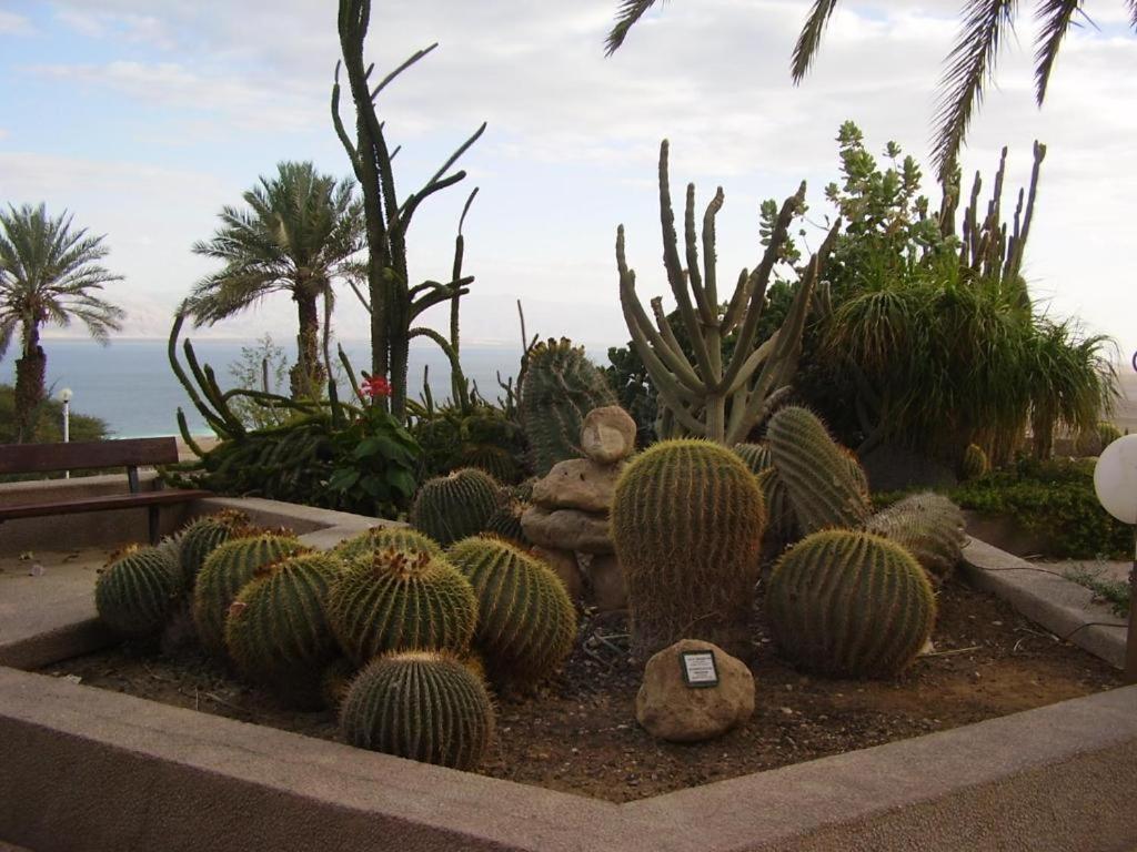 Ein Gedi Rooms Neve Zohar Exterior foto